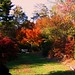 Autumn Back Photo 4