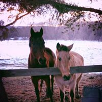 Mary Epstein Photo 18