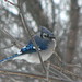 Jay Myhre Photo 3