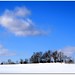 William Hite Photo 8