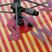 Steve Thwaites Photo 6