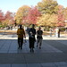 Susan Waddell Photo 8