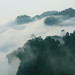 Yun Qi Photo 6
