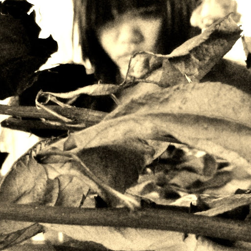 Maggie So Photo 27