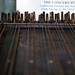 Victoria Harp Photo 7
