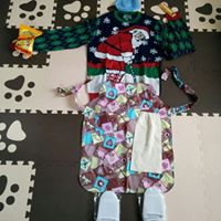 Satoshi Nakamoto Photo 5