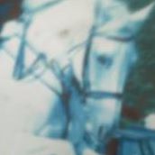 Debbie Murphy Photo 19