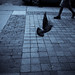 Chris Pidgeon Photo 4