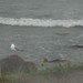 Judith Storm Photo 6