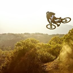 Will Zhou Photo 16