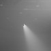 Stephen Duch Photo 6