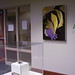 Amanda Meeker Photo 11