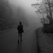 Dan Nitz Photo 6