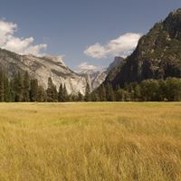 Peter Dore Photo 17