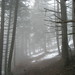 Misty Blair Photo 6