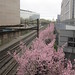 Virginia Plaza Photo 9
