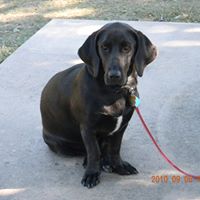 Cindy Gramm Photo 1