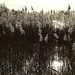 Milton Reed Photo 4