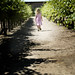 Allison Vines Photo 8