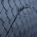 A Y Photo 14