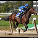 Jerome Garcia Photo 8