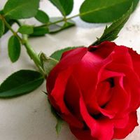Mithun Dey Photo 4