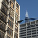 James Igoe Photo 16