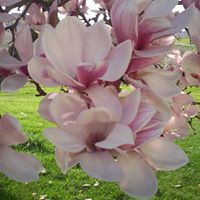 Tami Summers Photo 15