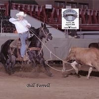 Bill Ferrell Photo 43