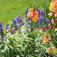 Elaine Cooke Photo 39