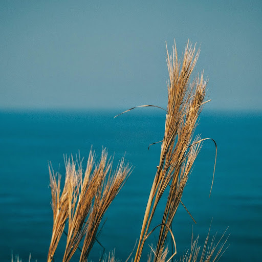 Da Xu Photo 10