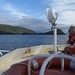 Roy Dingle Photo 7
