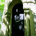Jerry Chittenden Photo 3