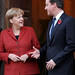 David Merkel Photo 9