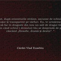 Eusebiu Vlad Photo 3