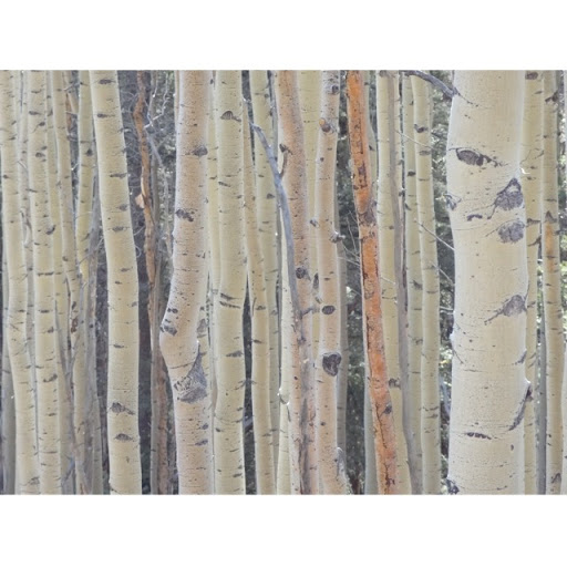 Marie Salerno Photo 16