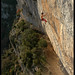 Eric Noble Photo 11