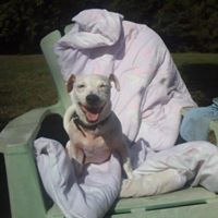 Betty Dawson Photo 20