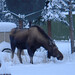 Douglas Hooper Photo 10