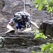 Harry Stover Photo 5