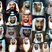 Omar Khalid Photo 15