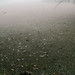 Kimberly Osborn Photo 6
