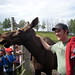Tim Moose Photo 8
