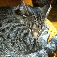 Cathy Parish Photo 22