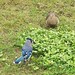 Jay Dove Photo 8