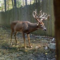 Ken Peck Photo 20