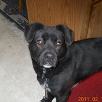 Shari Kelly Photo 16