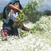 Geraldine Vasquez Photo 6