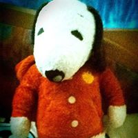 Sze Ma Photo 13