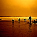 Dawn Salmon Photo 6